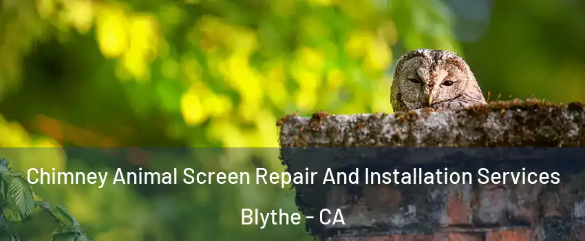  Chimney Animal Screen Repair And Installation Services Blythe - CA